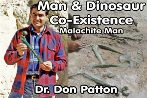 Evolutionist-ConverterQuotes from Video Lectures!