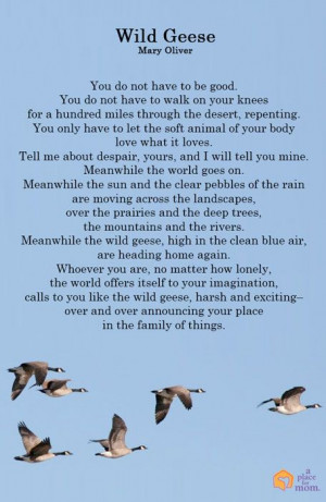 Poem: Wild Geese by Mary Oliver