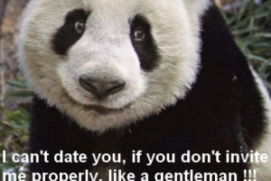 Funny Panda Quotes