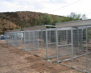 Commercial Dog Kennel Systems