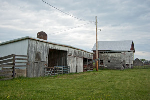 barn and shed elkton virginia life in the barn was very good night and ...