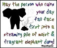 funny elephant quotes