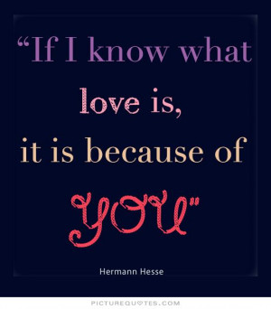 If i know what love is, it is because of you. Picture Quote #1