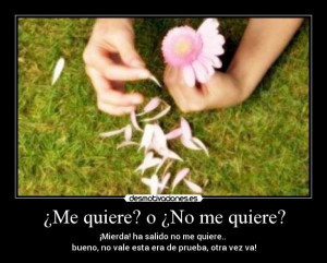 Me quiere? o ¿No me quiere?