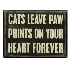 Quotes About Dogs Passing Away This is true my cat passed