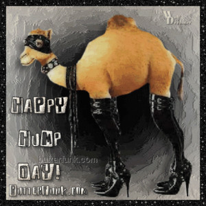 Everyday should be hump day! Wink Wink!
