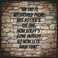 Can't Go Wrong With a Harry Potter Quote by fantasy-alive