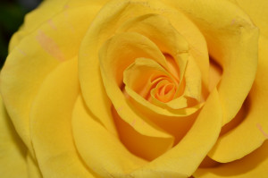 Finding Closure After Death