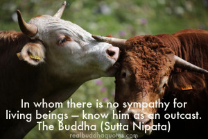 In whom there is no sympathy for living beings: know him as an outcast ...