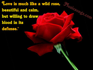 Is Much Like A Wild Rose Beautiful And Calm, But Willing To Draw Blood ...