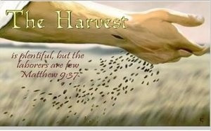 Found on multiply.com