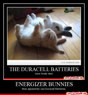Funny Energizer Bunny