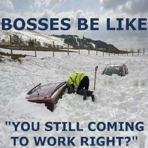 Bosses be like…