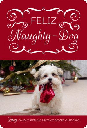 Feliz Naughty Dog Christmas Photo Card by PurpleTrail.com.