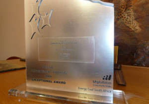 Exceptional Performance Award