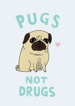 smile #quote #pugs #pets #cute Smile Quotes, Drugs, Pet, Life Lessons ...