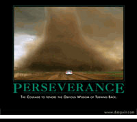 Posted by Susan Amerikaner at 8:55 PM