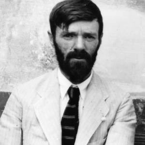 Best D. H. Lawrence Quotes Quotations