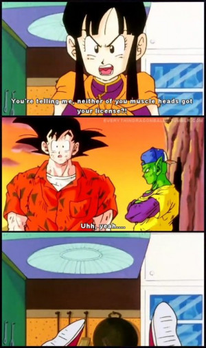 Anything and everything Dragon Ball, Dragon Ball Z, or Dragon Ball GT.