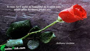 submitted by anthony liccione author anthony liccione votes