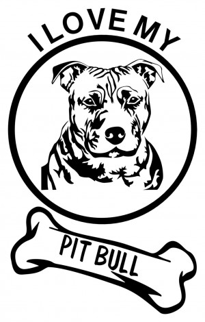 The Truth about Pit Bulls: Sharona-palooza Post 2.