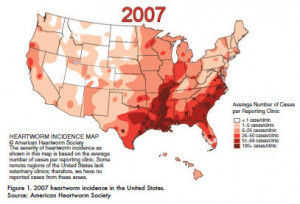 Here's a range map of heartworm incidence for 2007.