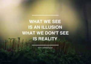 what-we-see-is-an-illusion-what-we-dont-see-is-reality