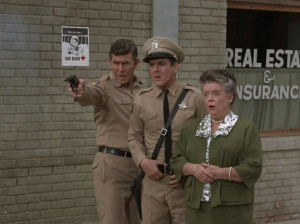 Aunt Bee Takes a Job