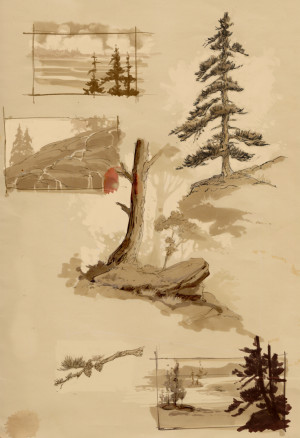 ray of light and a flower in a dark world. We will miss you Connie.