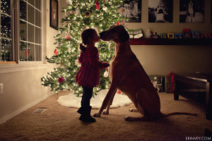 Christmas kiss: little girl and big dog