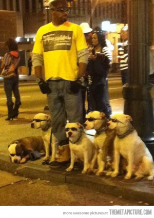 Funny photos funny black guy walking dogs sunglasses