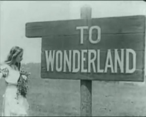 Welcome to Wonderland.