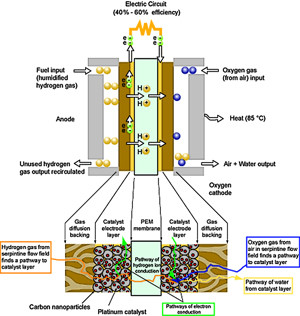 Physics Nist Gov Majresfac...