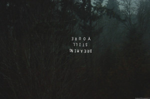 Quotes About Dark Forest. QuotesGram