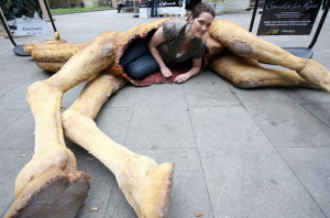 Man Vs Wild – Discovery’s Most Bizarre Promotion Ever