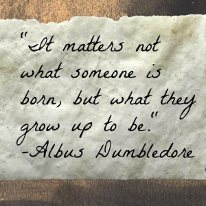 Quotes By Albus Dumbledore☼ - albus-dumbledore Photo