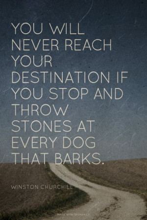 ... you stop and throw stones at every dog that barks. - Winston Churchill