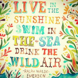 live in the sunshine swim in the sea drink the wild air#quotes#surf