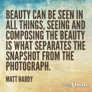 Beauty can be seen in all things, seeing and composing the beauty is ...