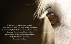 ride my own white horse because... (poem) More