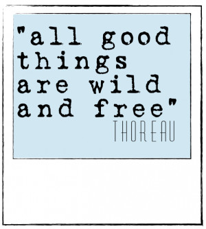 something wild and free}: thoreau quote