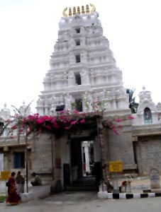 And what did I find, but the same dreadful pestilence.