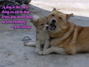Animal Quotes Graphics, Pictures - Page 2