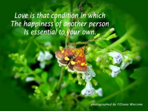 flowers quotes flowers flower quote quotes with flowers quote flowers ...