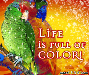 http://www.allgraphics123.com/life-is-full-of-color/