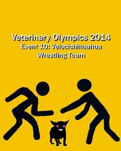 ... , Vet Humor, Veterinari Olymp, Job, Vet Tech, Chihuahua, Little Dogs