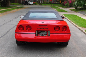 1988 Chevrolet Corvette in Great Neck, NY - 1g1yy3183j5100432