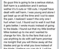 Vic Fuentes Self-Harm Quotes