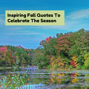 Inspiring Fall Quotes To Celebrate The Season