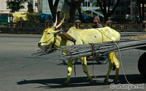 Ad: 123Designing.com